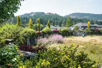 View 35