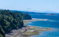View 31