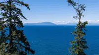View 29