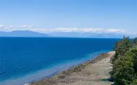 View 25