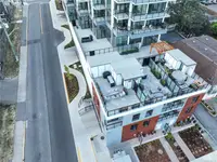 View 50