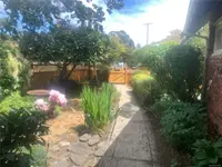 View 50
