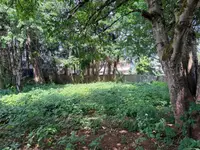 View 32