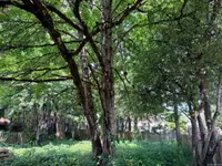 View 33