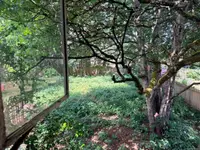 View 18