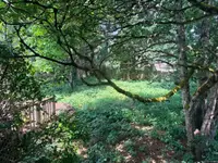 View 19