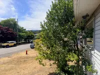 View 39