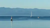 View 49