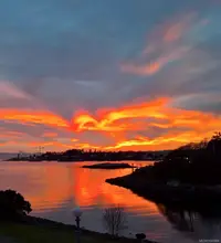 View 50