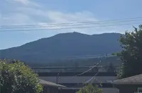 View 30