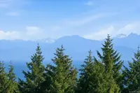 View 52