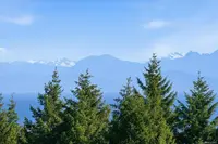 View 55