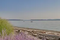 View 30