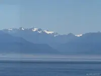 View 53