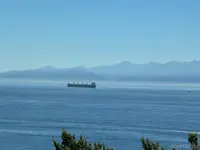 View 55