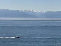 View 54