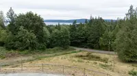 View 42