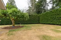 View 46