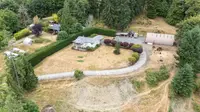 View 47