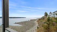 View 49