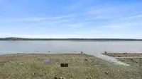 View 51