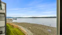 View 50