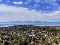 View 49
