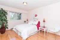 View 12