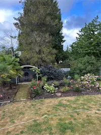 View 40