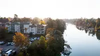 View 50