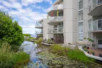 View 53