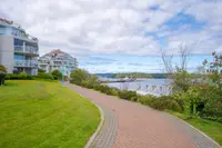 View 49