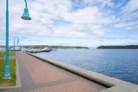 View 51