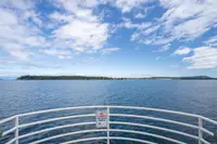 View 50
