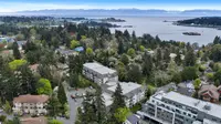 View 41