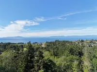 View 84