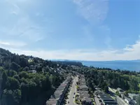 View 81