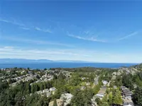 View 79