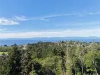 View 86