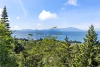 View 50