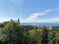View 87