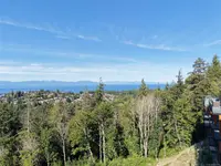 View 85
