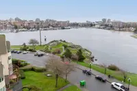 View 41