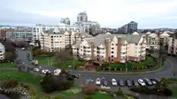 View 50