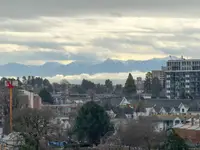 View 58