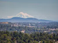 View 4