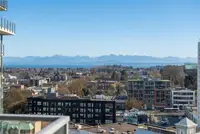 View 13