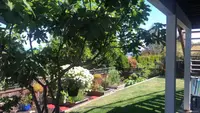 View 75