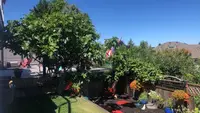 View 18
