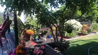 View 8